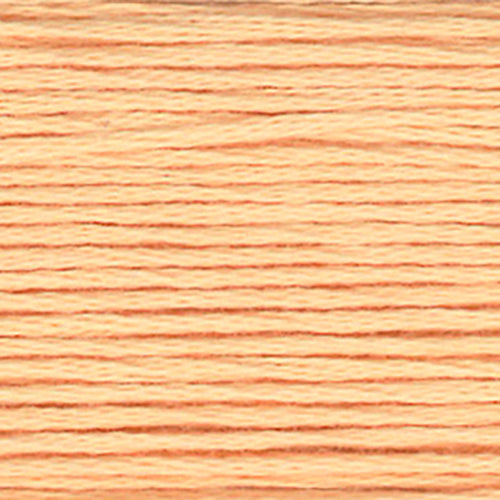 Cosmo Embroidery Floss 25 Impala - 402