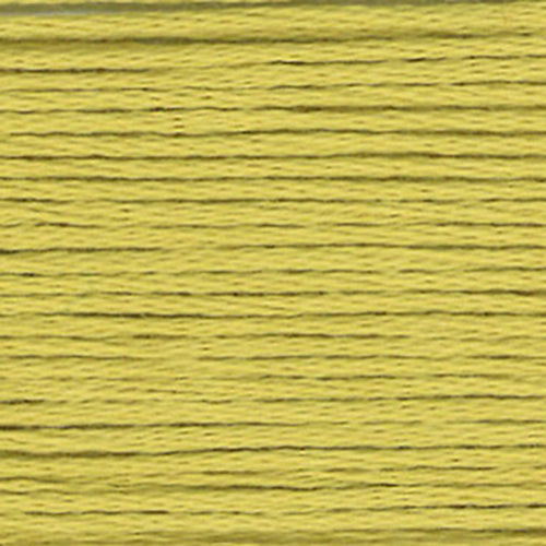 Cosmo Embroidery Floss 25 Leek Green - 821