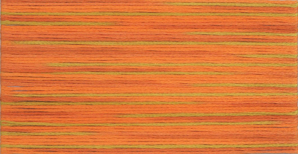 Cosmo Seasons Variegated Embroidery Floss 80 5008 for embroidery, stitching and decorative needlework