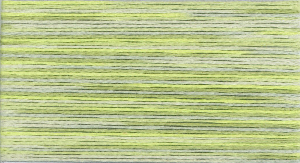 Cosmo Seasons Variegated Embroidery Floss 80 5013 for embroidery, stitching and decorative needlework