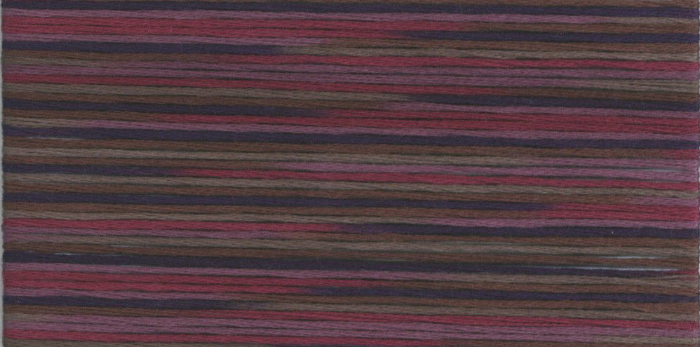 Cosmo Seasons Variegated Embroidery Floss 80 5027