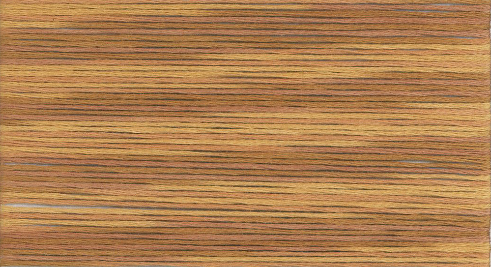 Cosmo Seasons Variegated Embroidery Floss 80 5029