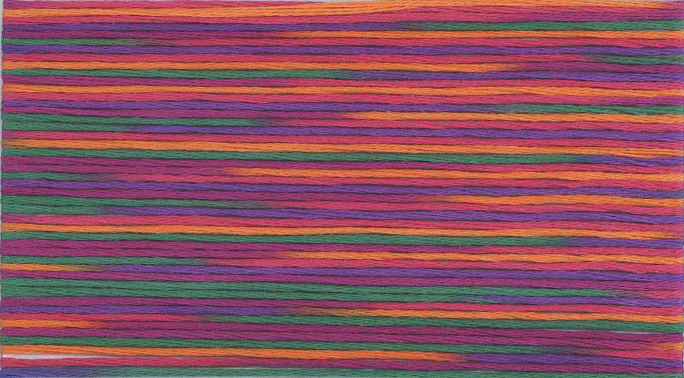 Cosmo Seasons Variegated Embroidery Floss 80 5038