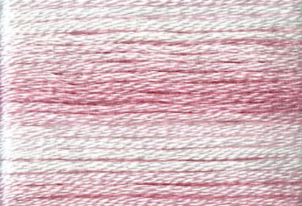 Cosmo Seasons Variegated Embroidery Floss 80 8004