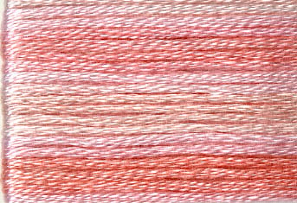 Cosmo Seasons Variegated Embroidery Floss 80 8005