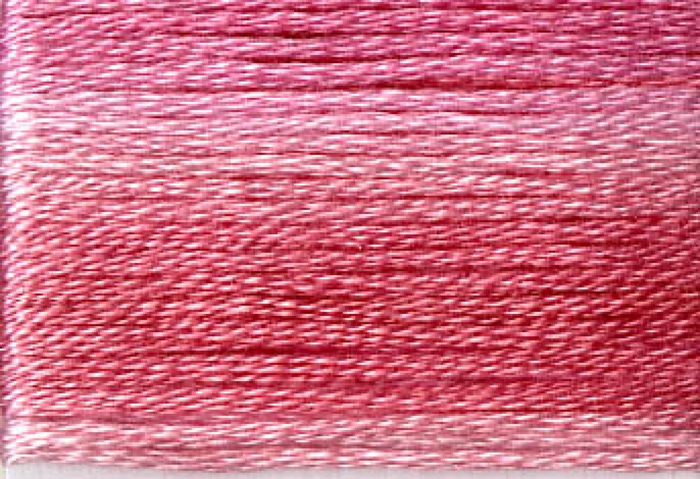 Cosmo Seasons Variegated Embroidery Floss 80 8006