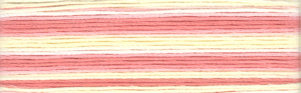 Cosmo Seasons Variegated Embroidery Floss 80 8007