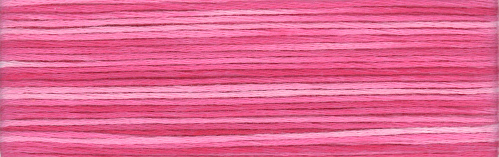 Cosmo Seasons Variegated Embroidery Floss 80 8008