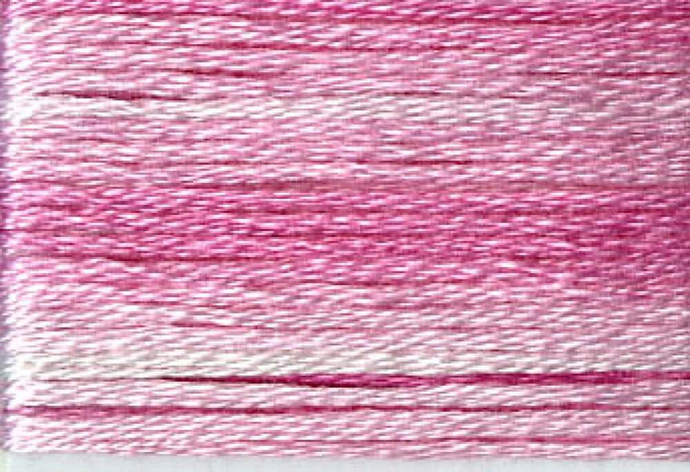 Cosmo Seasons Variegated Embroidery Floss 80 8009