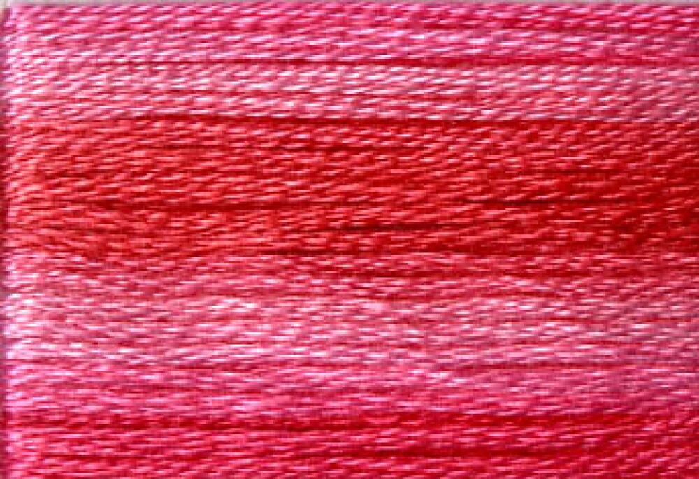 Cosmo Seasons Variegated Embroidery Floss 80 8010