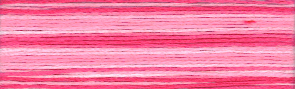 Cosmo Seasons Variegated Embroidery Floss 80 8011