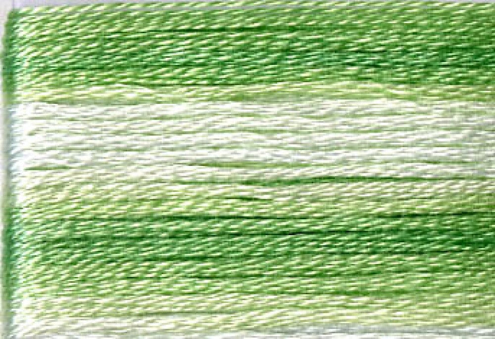 Cosmo Seasons Variegated Embroidery Floss 80 8013