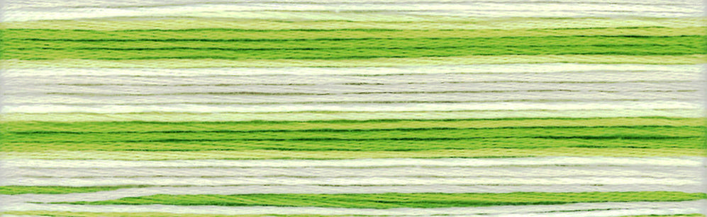 Cosmo Seasons Variegated Embroidery Floss 80 8015