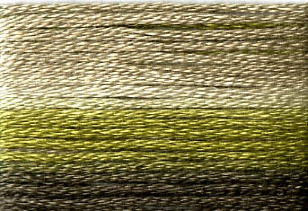 Cosmo Seasons Variegated Embroidery Floss 80 8017