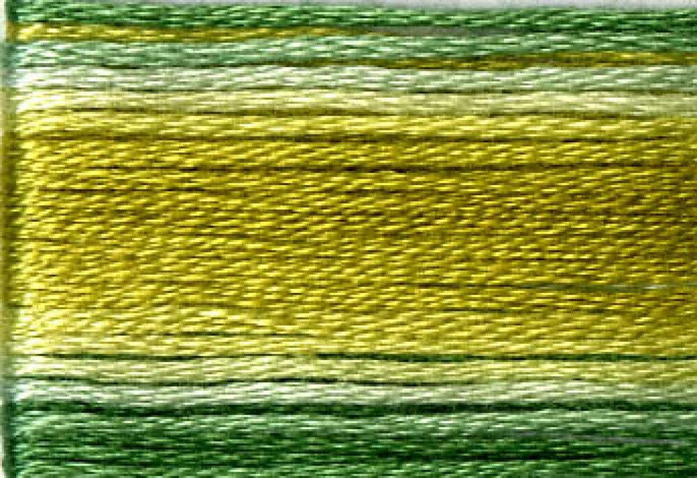 Cosmo Seasons Variegated Embroidery Floss 80 8019
