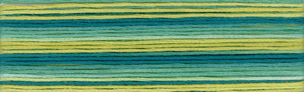 Cosmo Seasons Variegated Embroidery Floss 80 8020