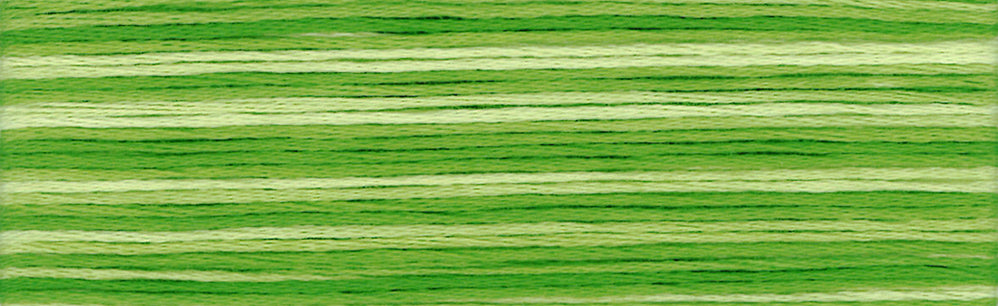 Cosmo Seasons Variegated Embroidery Floss 80 8021