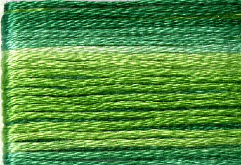 Cosmo Seasons Variegated Embroidery Floss 80 8022