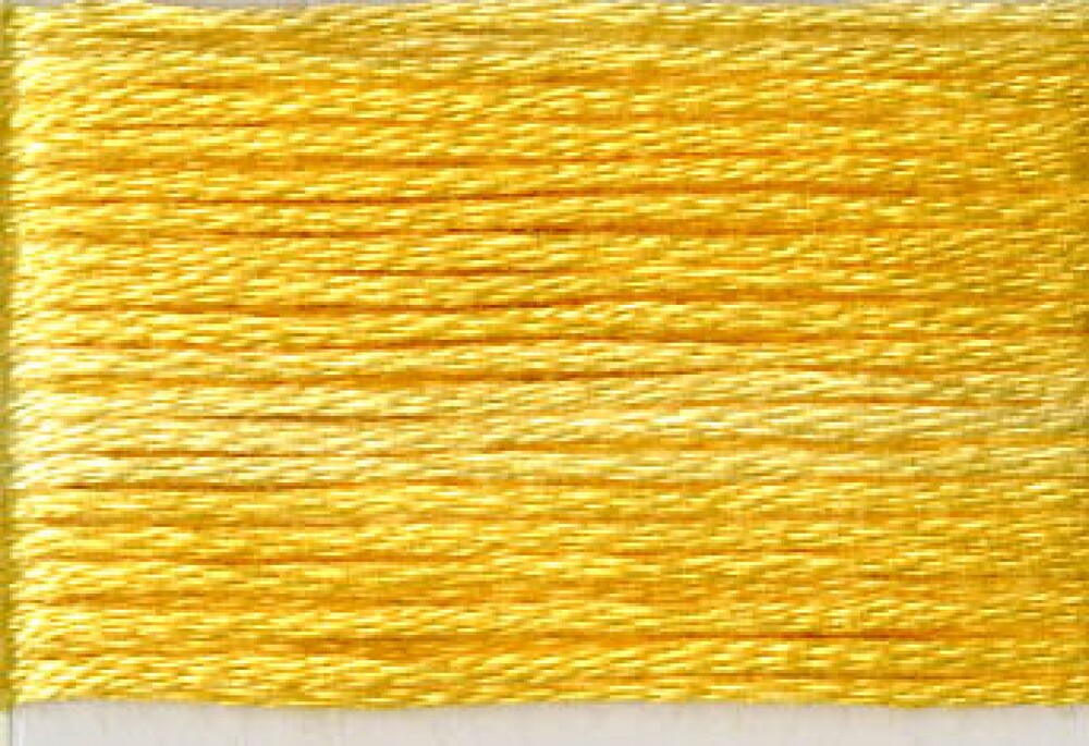 Cosmo Seasons Variegated Embroidery Floss 80 8027
