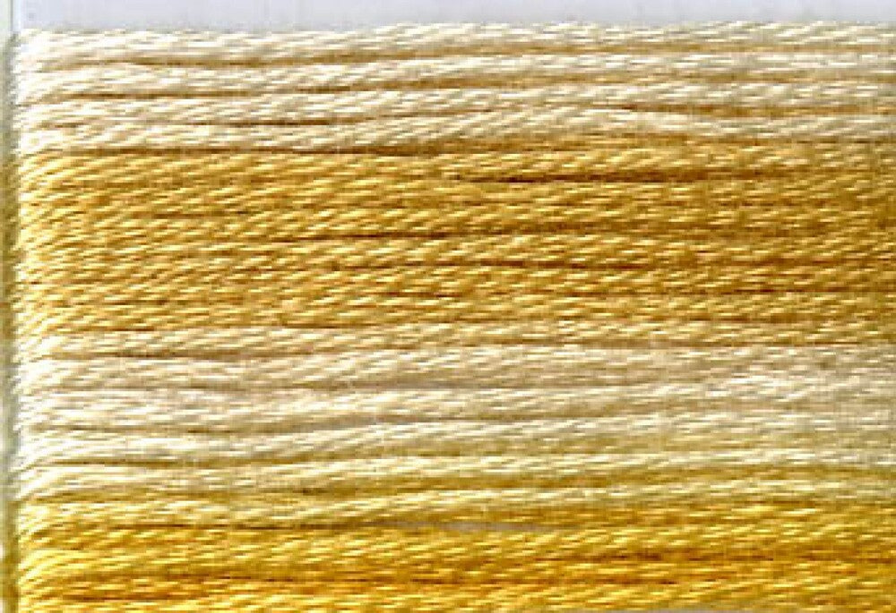 Cosmo Seasons Variegated Embroidery Floss 80 8031