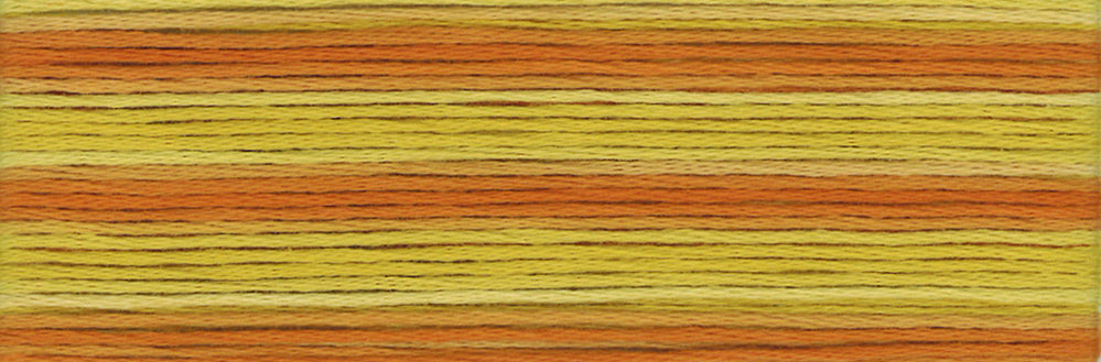 Cosmo Seasons Variegated Embroidery Floss 80 8033