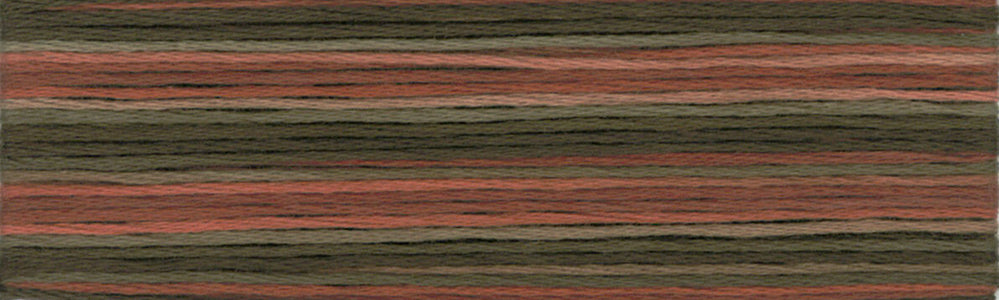 Cosmo Seasons Variegated Embroidery Floss 80 8041