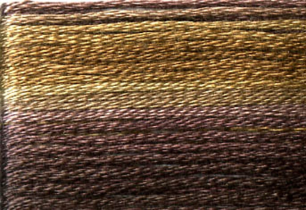 Cosmo Seasons Variegated Embroidery Floss 80 8042