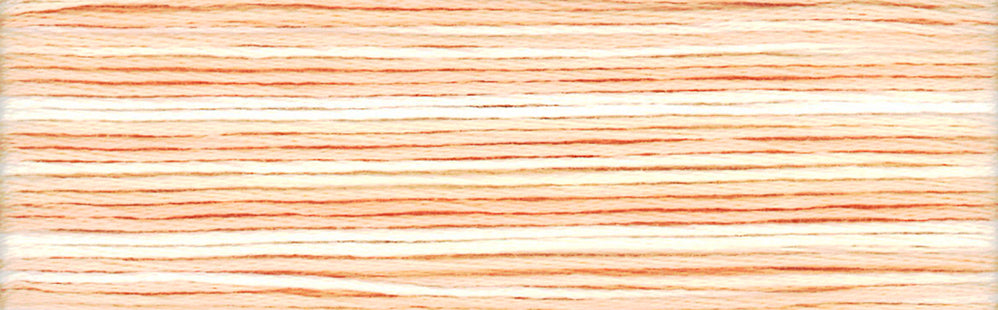 Cosmo Seasons Variegated Embroidery Floss 80 8045