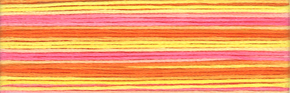 Cosmo Seasons Variegated Embroidery Floss 80 8046