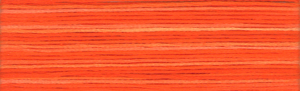 Cosmo Seasons Variegated Embroidery Floss 80 8047