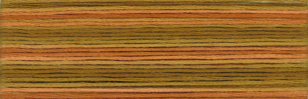 Cosmo Seasons Variegated Embroidery Floss 80 8048