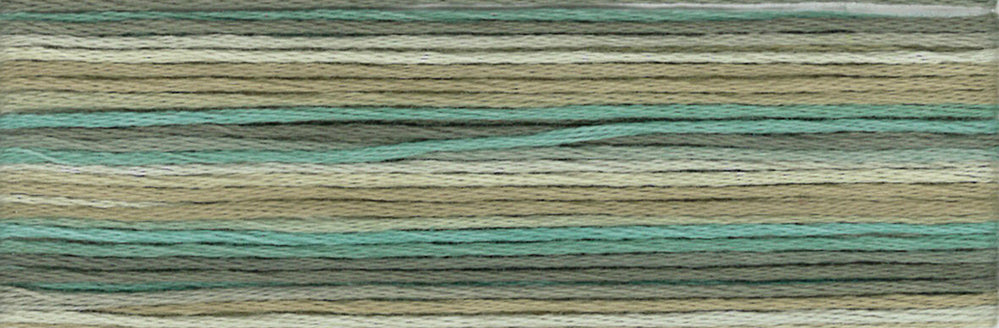 Cosmo Seasons Variegated Embroidery Floss 80 8049