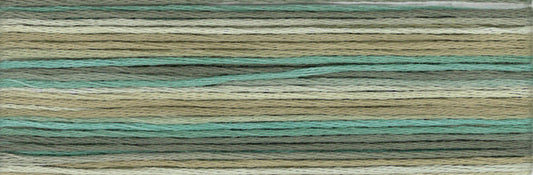 Cosmo Seasons Variegated Embroidery Floss 80 8049