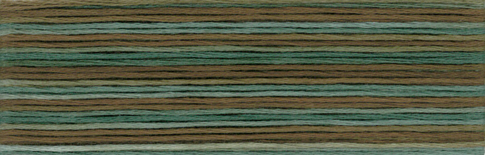 Cosmo Seasons Variegated Embroidery Floss 80 8050
