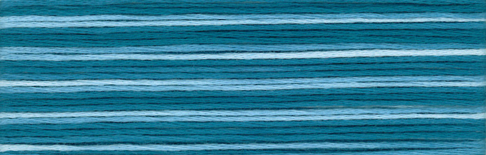 Cosmo Seasons Variegated Embroidery Floss 80 8055