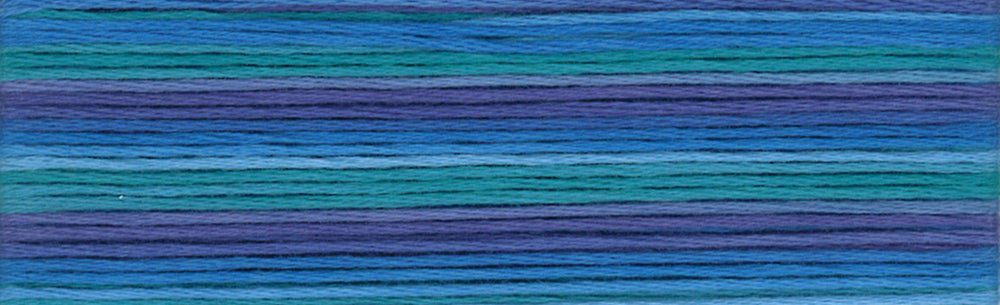 Cosmo Seasons Variegated Embroidery Floss 80 8056