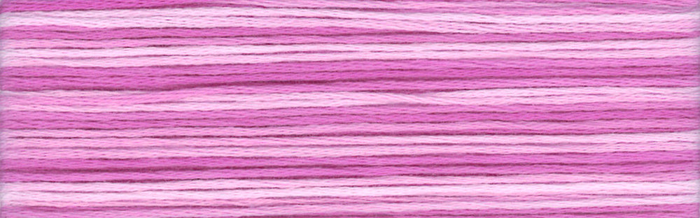 Cosmo Seasons Variegated Embroidery Floss 80 8060