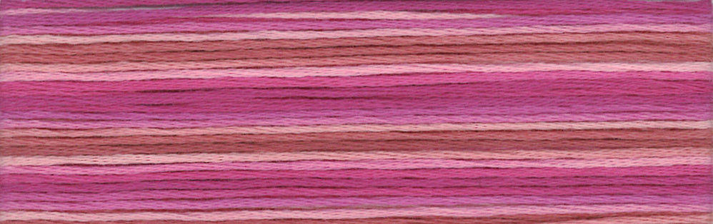 Cosmo Seasons Variegated Embroidery Floss 80 8061