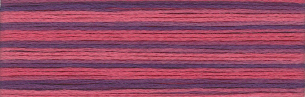 Cosmo Seasons Variegated Embroidery Floss 80 8062