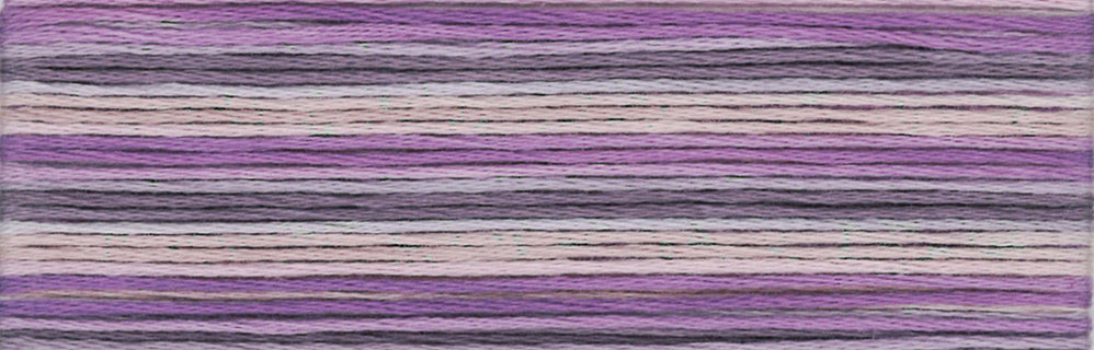 Cosmo Seasons Variegated Embroidery Floss 80 8063