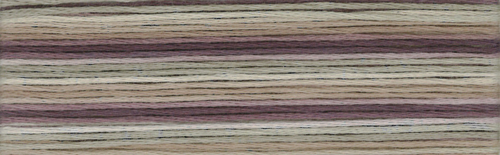 Cosmo Seasons Variegated Embroidery Floss 80 8065