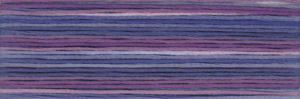 Cosmo Seasons Variegated Embroidery Floss 80 8066