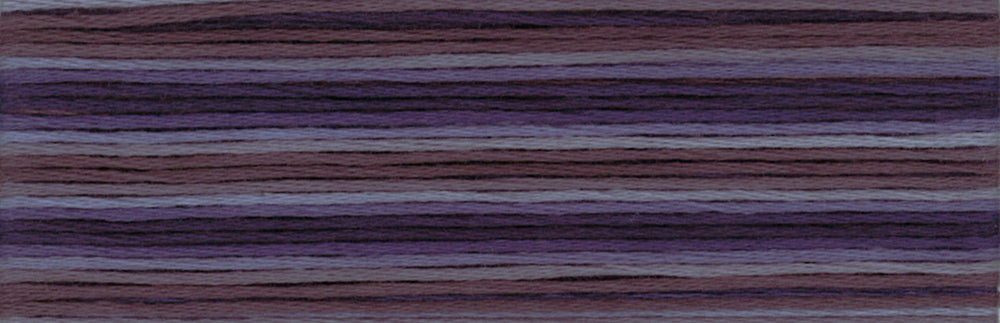 Cosmo Seasons Variegated Embroidery Floss 80 8069