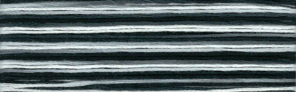 Cosmo Seasons Variegated Embroidery Floss 80 8071