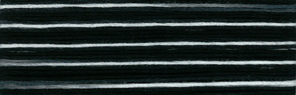 Cosmo Seasons Variegated Embroidery Floss 80 8072