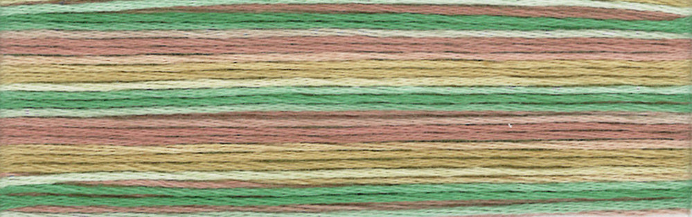 Cosmo Seasons Variegated Embroidery Floss 80 8073