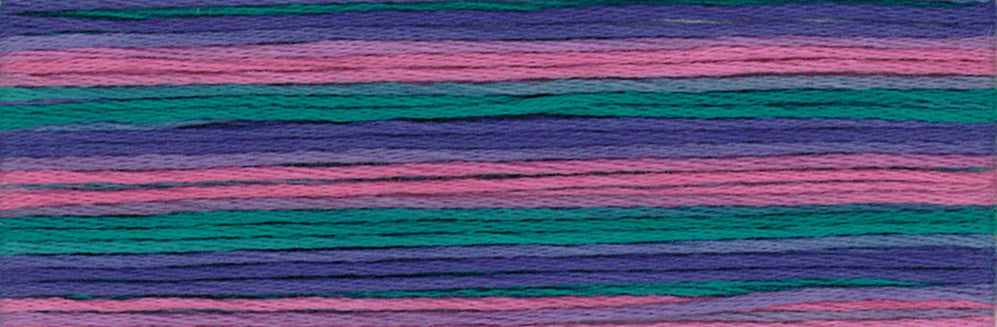 Cosmo Seasons Variegated Embroidery Floss 80 8074