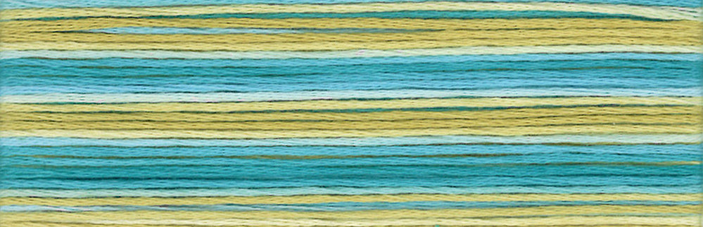 Cosmo Seasons Variegated Embroidery Floss 80 8076