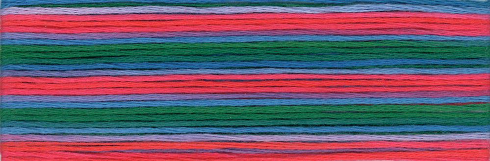 Cosmo Seasons Variegated Embroidery Floss 80 8080