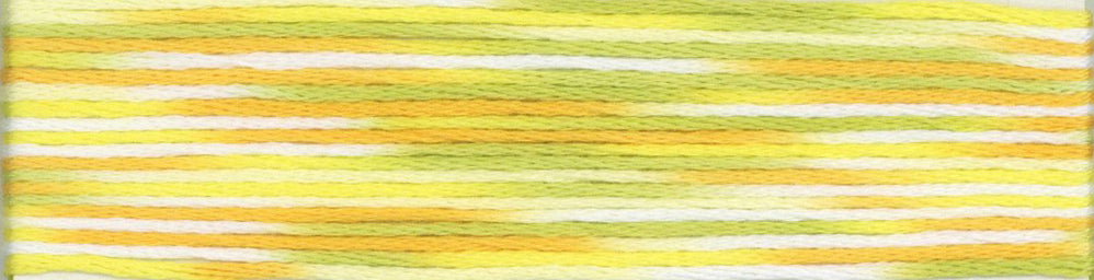Cosmo Seasons Variegated Embroidery Floss 80 9004